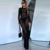 Lace Sheer Long-Sleeve Fitted Maxi Dress with Embroidery
